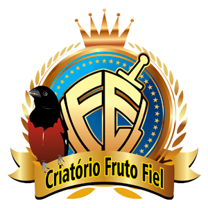 logotipo